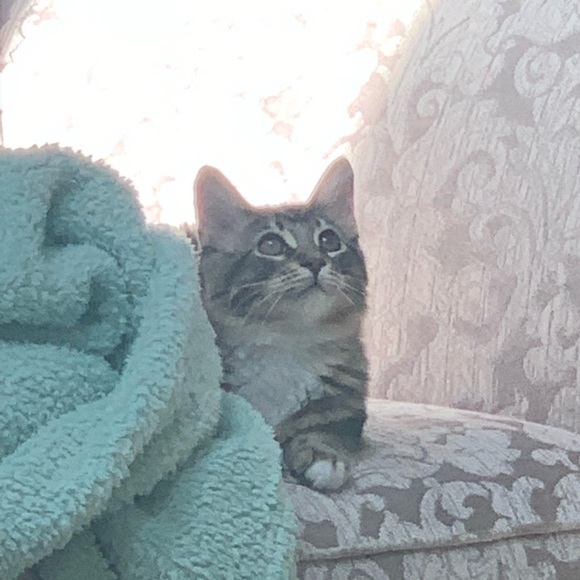 Meet your Posher, Shannon - Picture 3 of 3